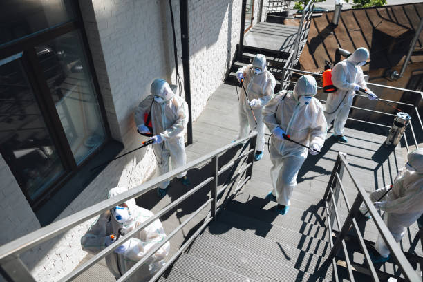 Reliable Osage, IA Mold Removal Solutions