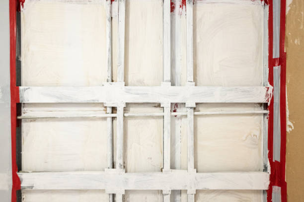 Best Emergency Mold Remediation  in Osage, IA